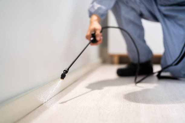 Certified termite inspector examining foundation in Grosse Pointe Park