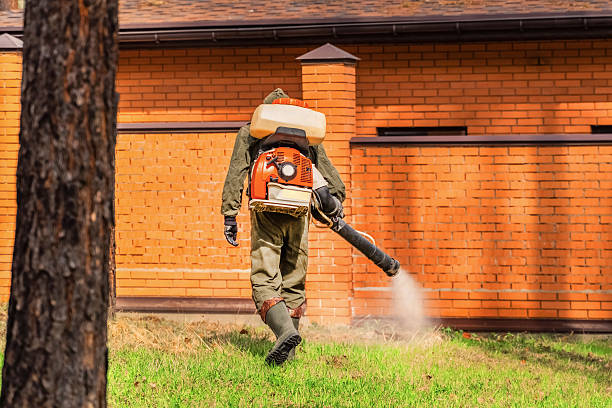 Top rated local Mosquito Control specialists in Grosse Pointe Park, MI